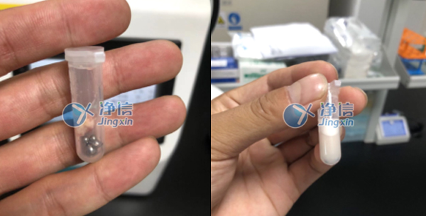 多样品组织研磨仪助力解决老鼠肝组织的研磨实验