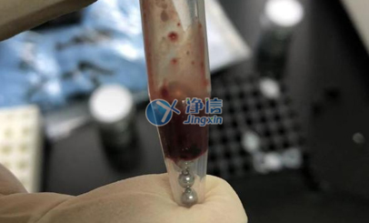 高通量组织研磨仪对肝脏样品前处理的实验研磨操作