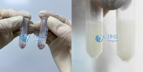 冷冻组织研磨仪对裸鼠肿瘤组织块样品的前处理实验研磨